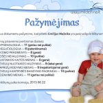 krikštynos | krikštynų atributika | krikštynų pažymėjimas | Mildelfina | rankų darbo